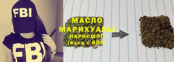 молекула духа Ельня