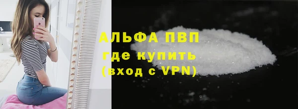 гидра Дмитров