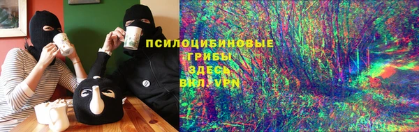 mdpv Елабуга