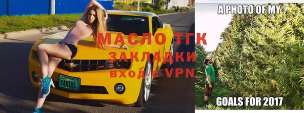 гидра Дмитров