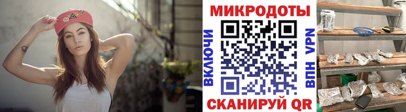 OMG ONION  Невьянск  Псилоцибиновые грибы GOLDEN TEACHER 